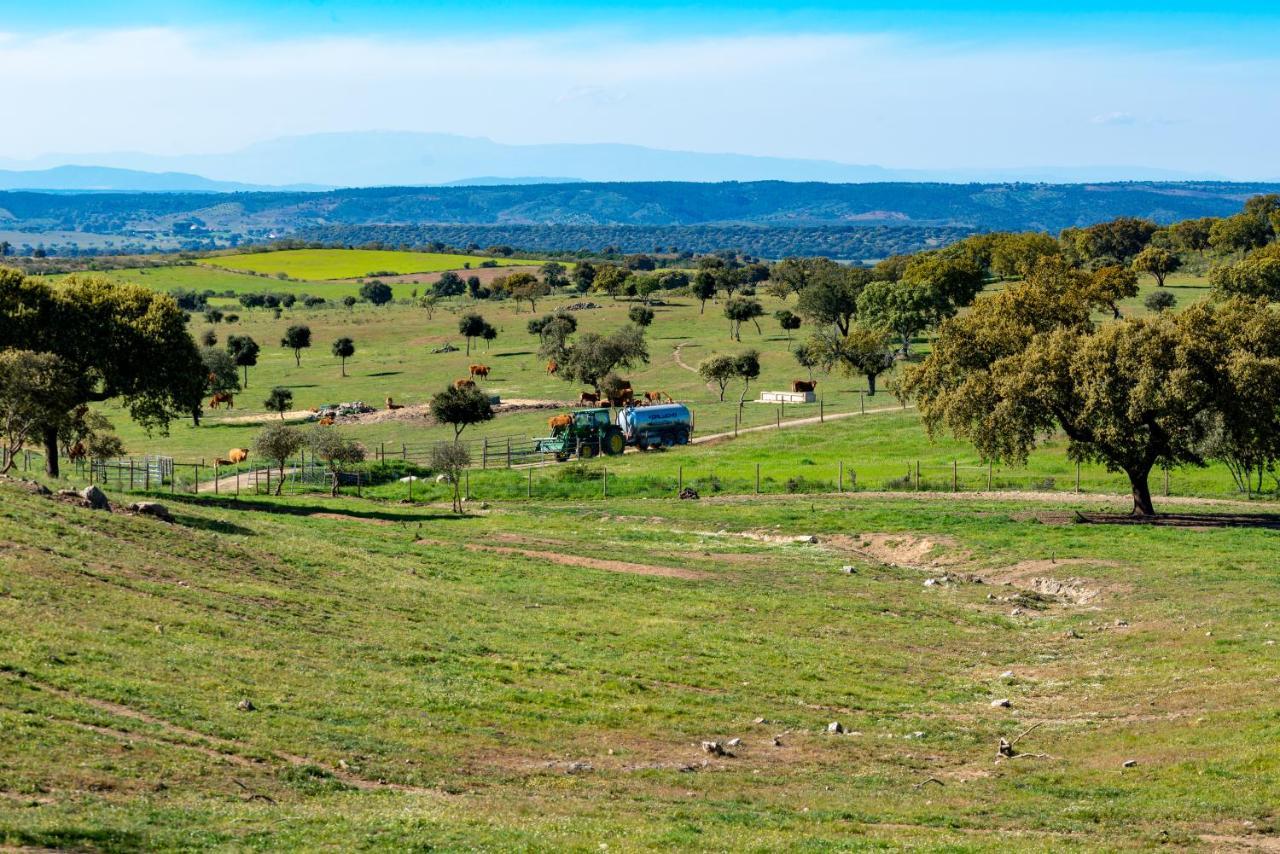 Moradia Gemea 2 Em Herdade Santa Marta Zebreira Εξωτερικό φωτογραφία